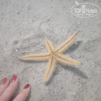 фото из отзыва ID 2670377