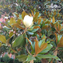 фото из отзыва ID 2670384