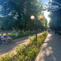 фото из отзыва ID 2670412