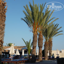 фото из отзыва ID 2670445