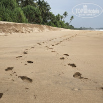 фото из отзыва ID 2670525