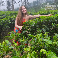 фото из отзыва ID 2670525