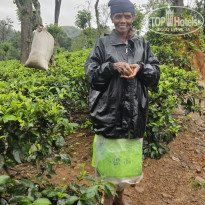 фото из отзыва ID 2670525