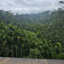 фото из отзыва ID 2670525