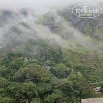 фото из отзыва ID 2670525