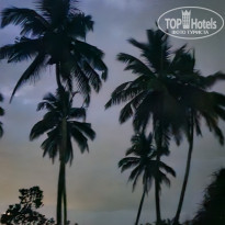 фото из отзыва ID 2670525