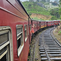 фото из отзыва ID 2670525