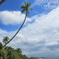 фото из отзыва ID 2670525