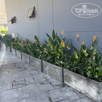 фото из отзыва ID 2670569