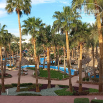 фото из отзыва ID 2670642