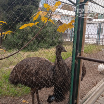 фото из отзыва ID 2670660