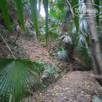 фото из отзыва ID 2670660