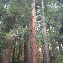 фото из отзыва ID 2670660