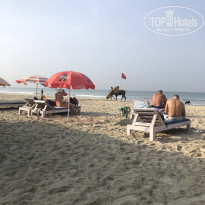 фото из отзыва ID 2670669