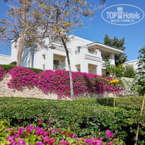 фото из отзыва ID 2670684