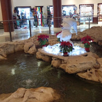 фото из отзыва ID 2670684