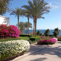 фото из отзыва ID 2670684