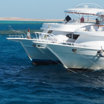 фото из отзыва ID 2670684