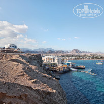 фото из отзыва ID 2670684