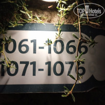 фото из отзыва ID 2670684