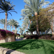 фото из отзыва ID 2670684