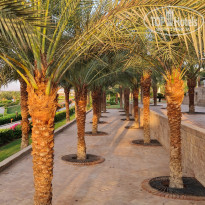 фото из отзыва ID 2670740