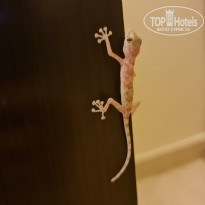 фото из отзыва ID 2670740