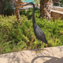 фото из отзыва ID 2670740