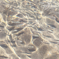 фото из отзыва ID 2670156