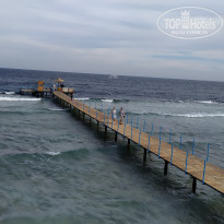 фото из отзыва ID 2670759