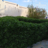 фото из отзыва ID 2670759