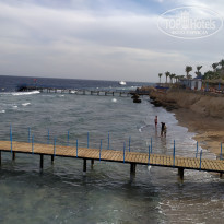 фото из отзыва ID 2670759