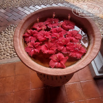 фото из отзыва ID 2670757