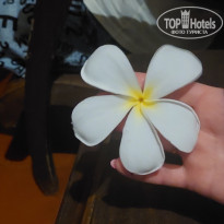 фото из отзыва ID 2670757