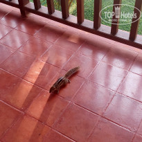 фото из отзыва ID 2670757