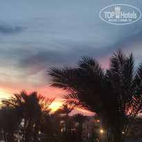 фото из отзыва ID 2670624