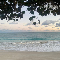 фото из отзыва ID 2670791