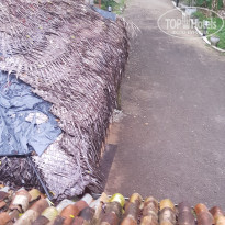 фото из отзыва ID 2670823