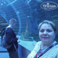 фото из отзыва ID 2670838