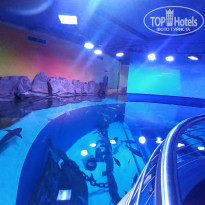 фото из отзыва ID 2670838