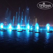 фото из отзыва ID 2670838