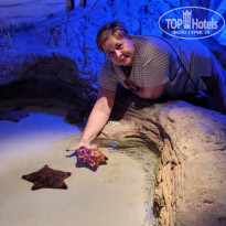 фото из отзыва ID 2670838