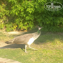 фото из отзыва ID 2670838