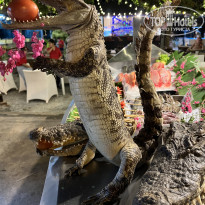 фото из отзыва ID 2670877