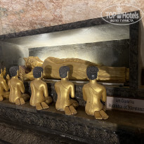 фото из отзыва ID 2670877