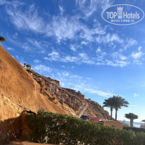 фото из отзыва ID 2670886