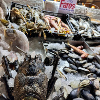 фото из отзыва ID 2670886