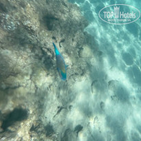 фото из отзыва ID 2670886