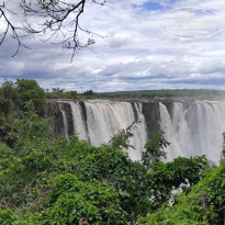 фото из отзыва ID 2671004