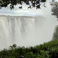 фото из отзыва ID 2671004